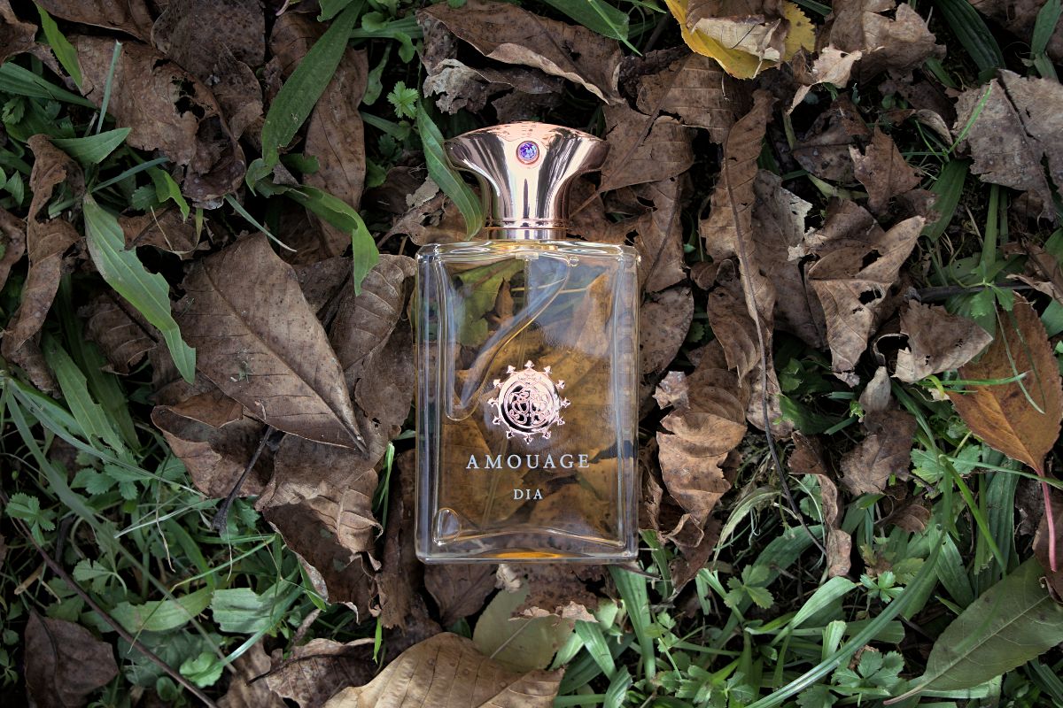 Amouage Dia Men
