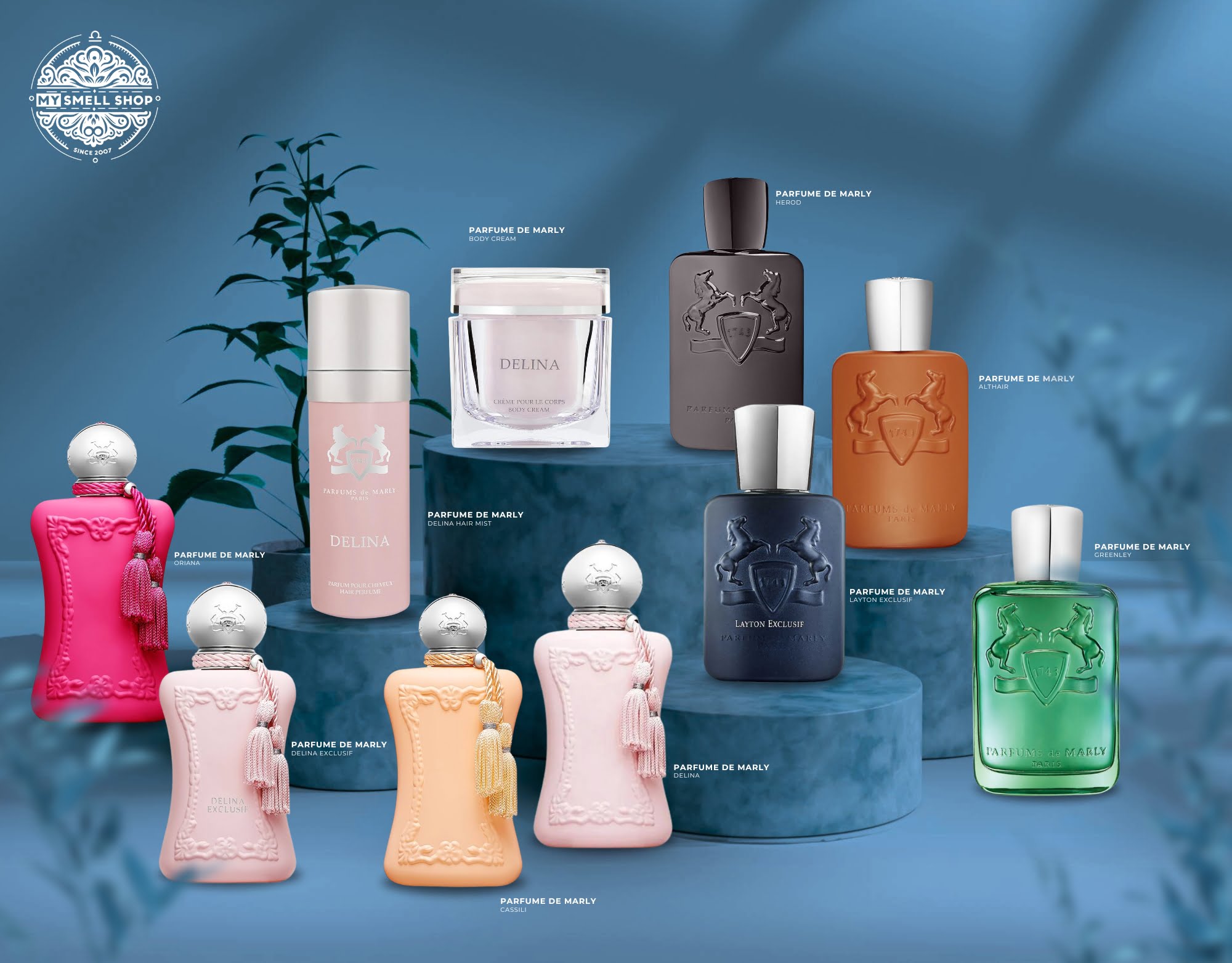 MY SMELL SHOP MOBILE