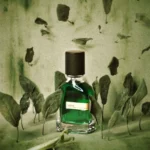 Orto Parisi Viride - Image 2